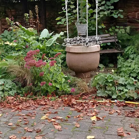 Gabrielle Hébergement de vacances Blaesheim